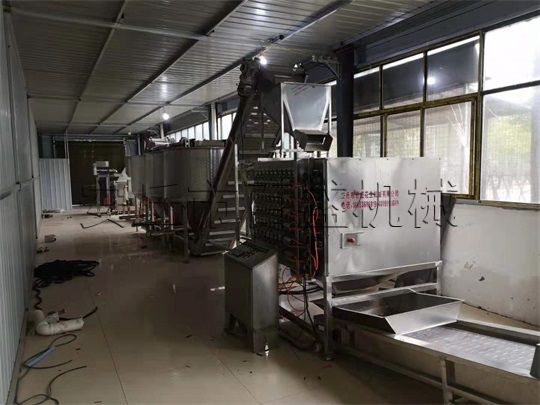 五香花生米生產(chǎn)線